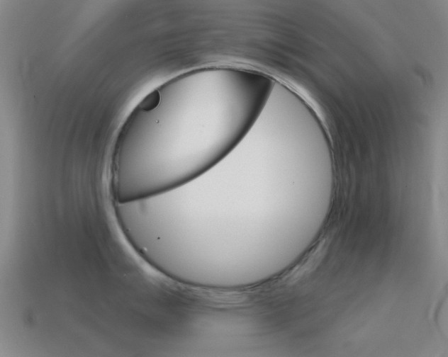 X0000114581007200910191050