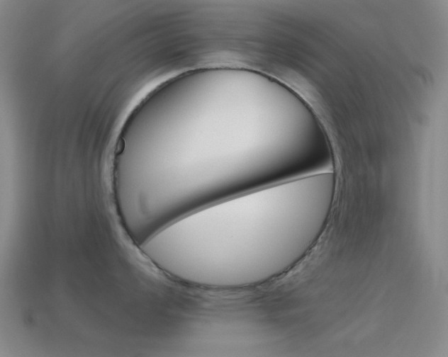 X0000114581008200910191050