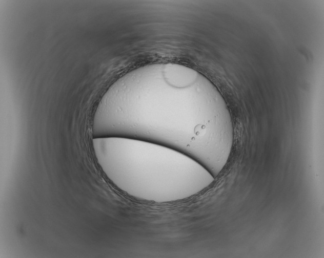 X0000114581009200910191050