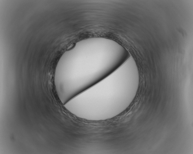 X0000114581010200910191050