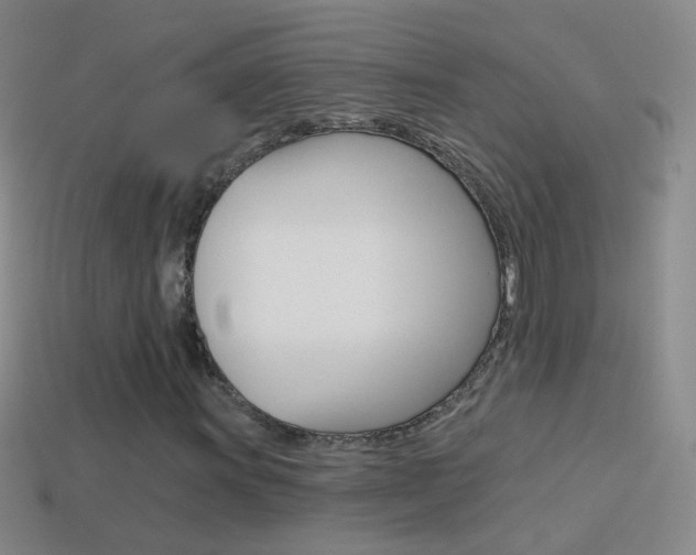X0000114581011200910191050