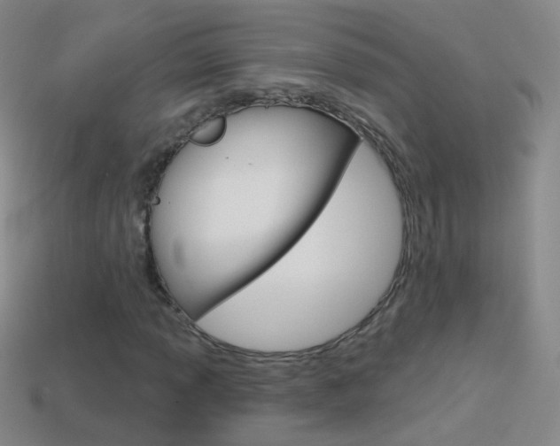 X0000114581013200910191050