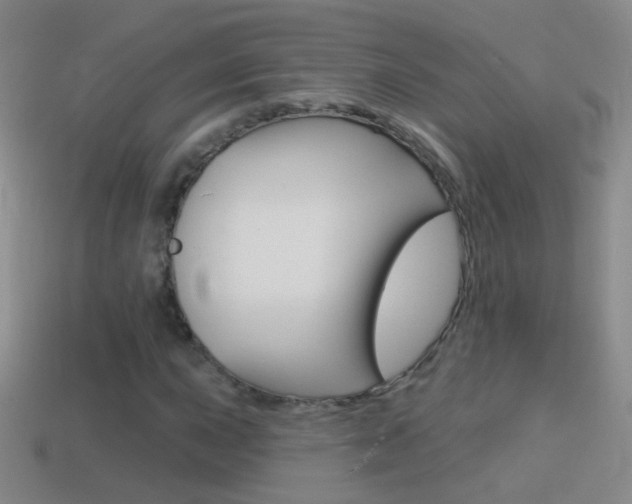 X0000114581015200910191050
