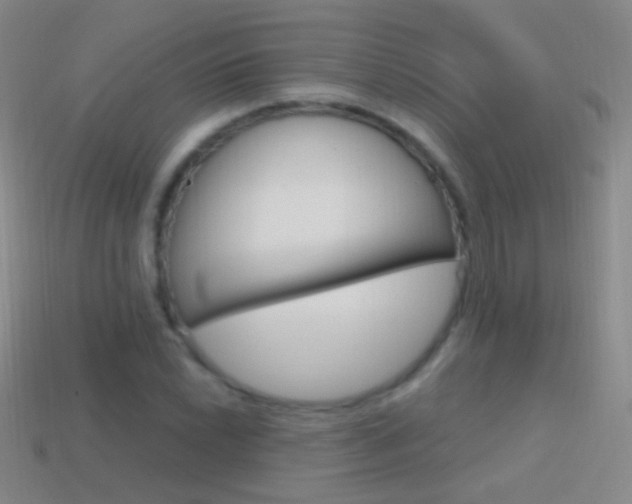 X0000114581022200910191050