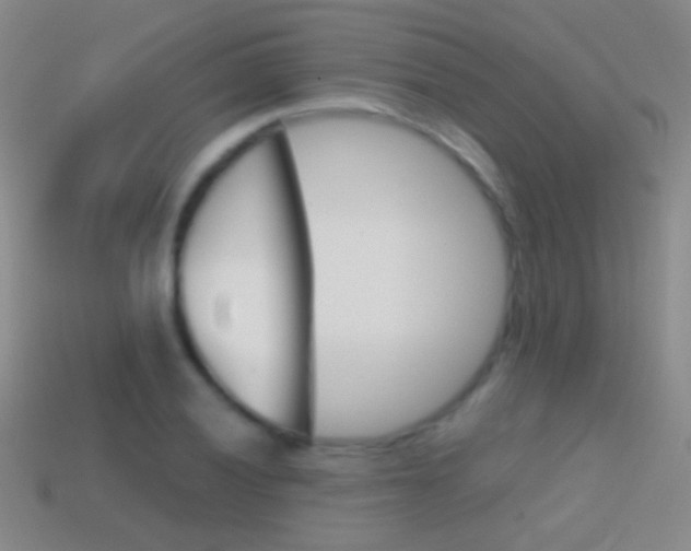 X0000114581028200910191050