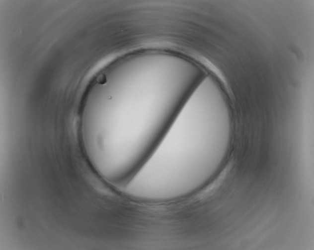 X0000114581029200910191050