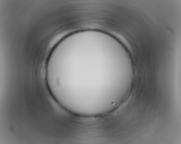 X0000114581031200910191050