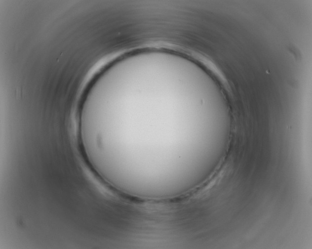 X0000114581032200910191050