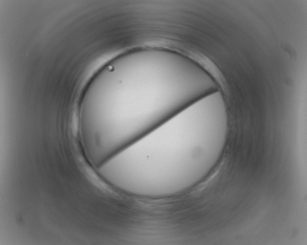 X0000114581036200910191050