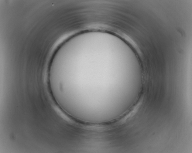 X0000114581037200910191050