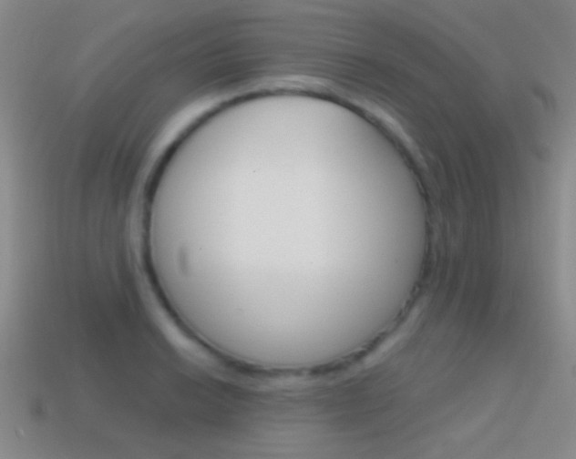 X0000114581038200910191050