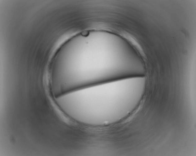 X0000114581040200910191050