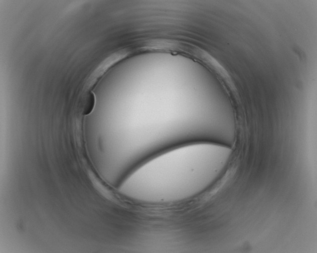 X0000114581041200910191050