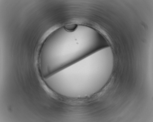 X0000114581042200910191050