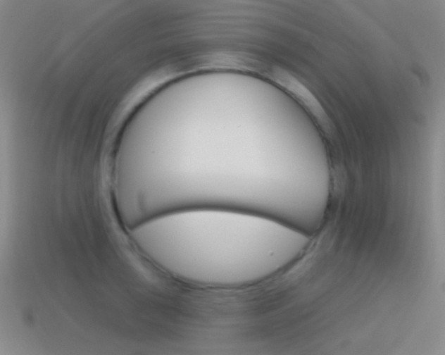 X0000114581043200910191050