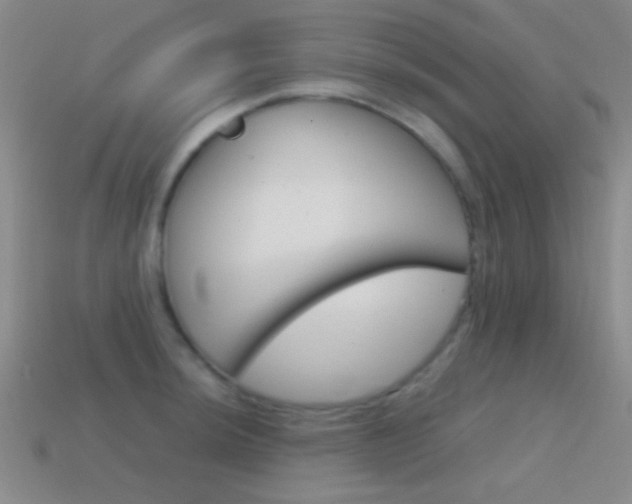 X0000114581044200910191050