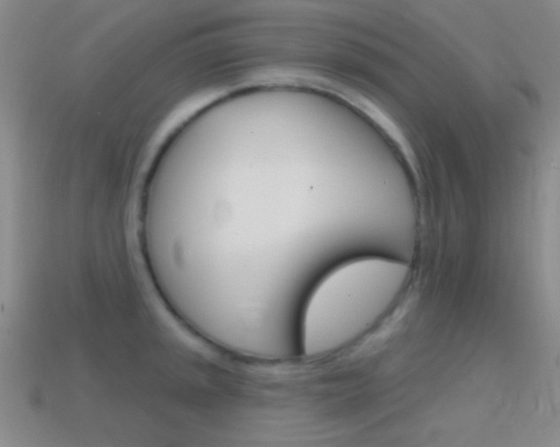 X0000114581045200910191050