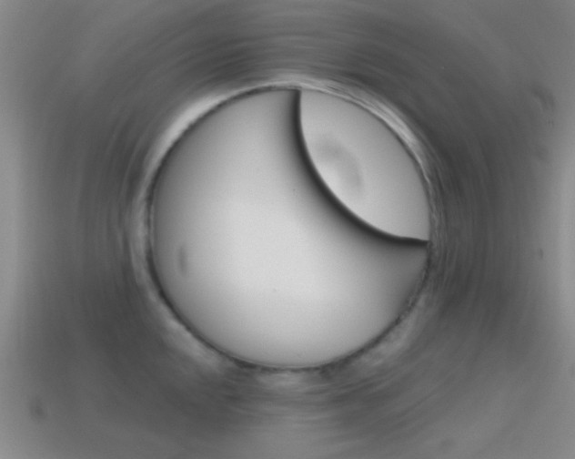 X0000114581048200910191050