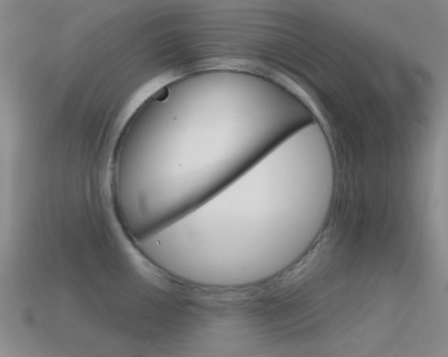 X0000114581050200910191050