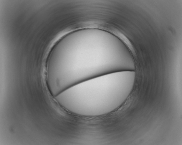 X0000114581051200910191050