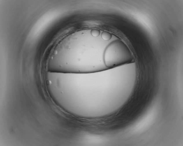X0000114581054200910191050
