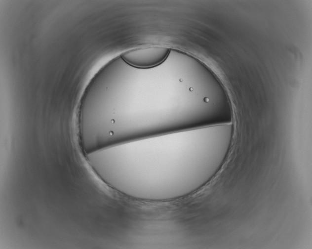 X0000114581056200910191050