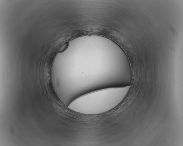 X0000114581058200910191050