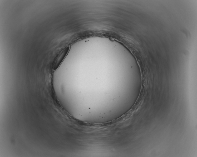 X0000114581061200910191050