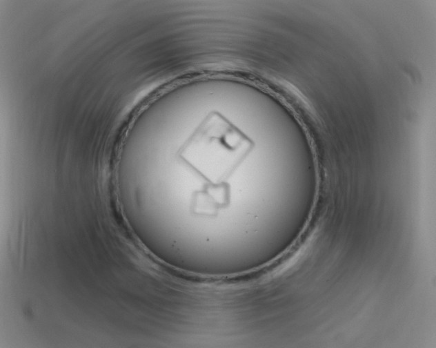 X0000114581065200910191049