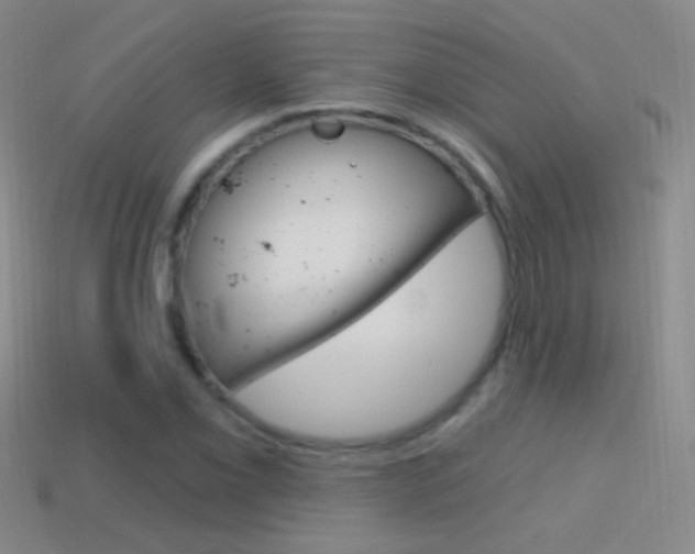 X0000114581069200910191049