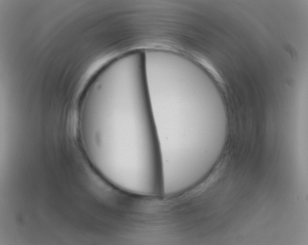 X0000114581079200910191049