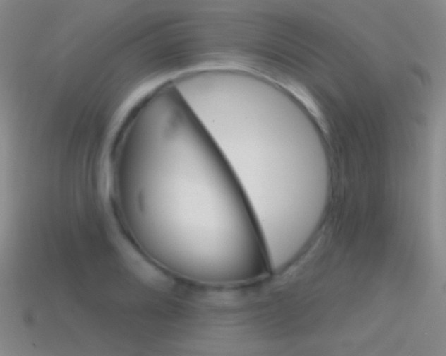 X0000114581080200910191049