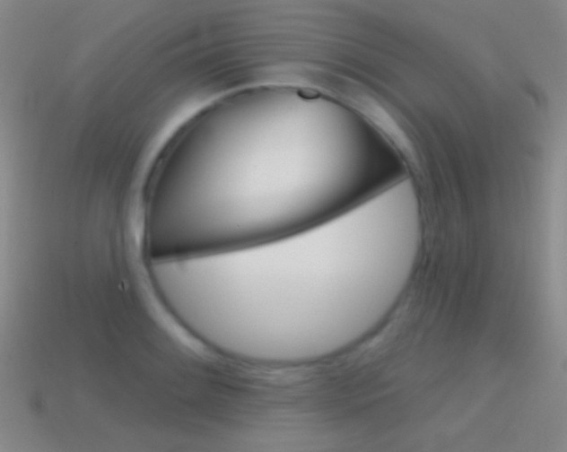 X0000114581084200910191049