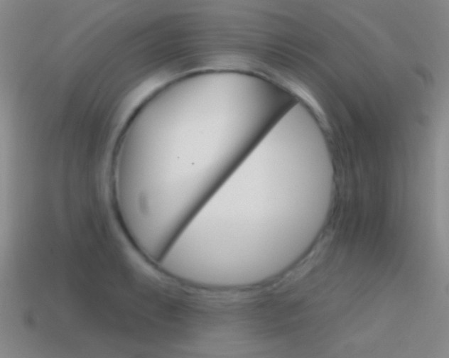 X0000114581087200910191049