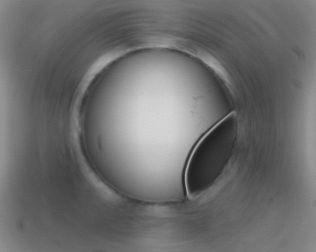 X0000114581088200910191049