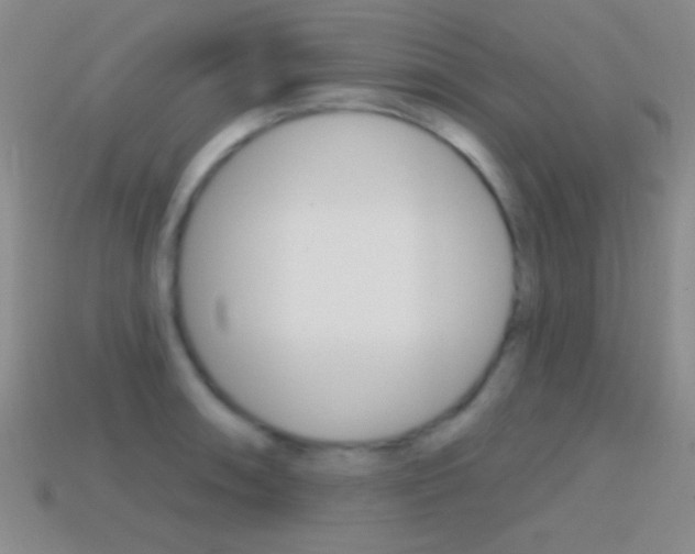 X0000114581090200910191049