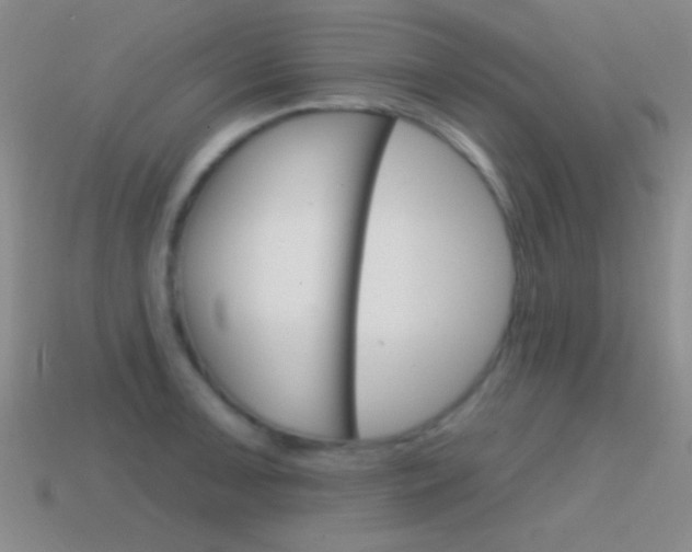 X0000114581091200910191049