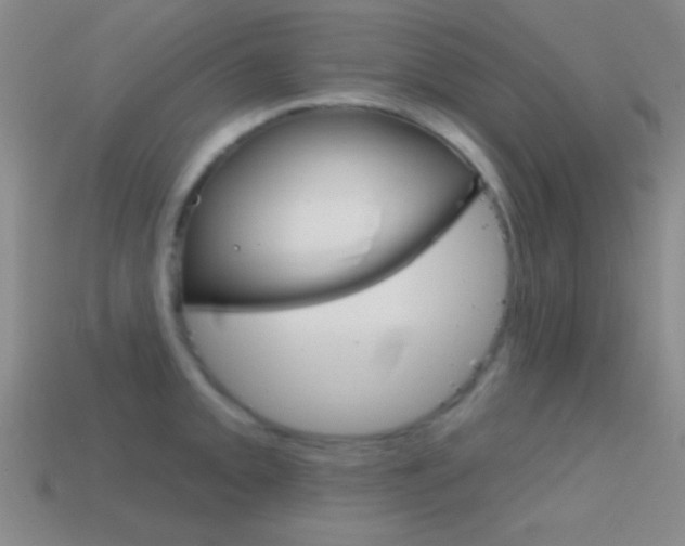 X0000114581093200910191049