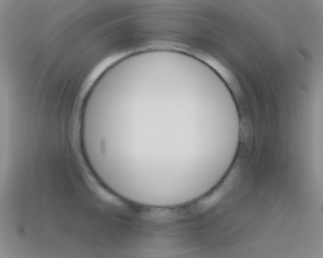 X0000114581094200910191049