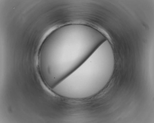 X0000114581095200910191049