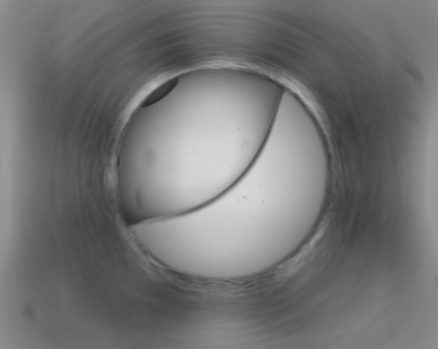 X0000114581097200910191049
