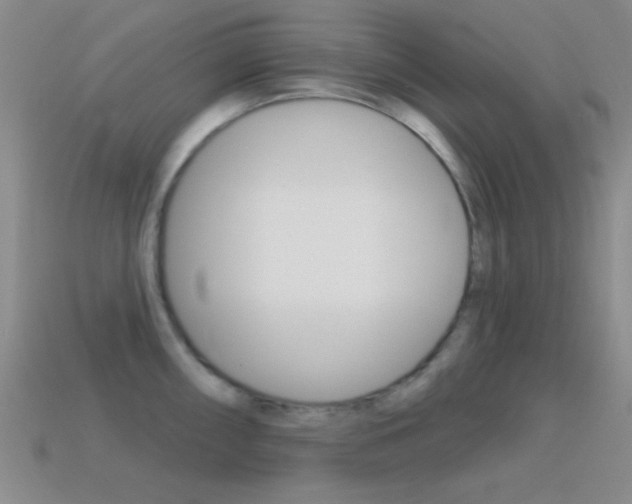 X0000114581098200910191049