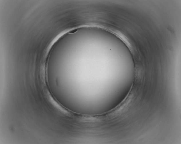 X0000114581100200910191049