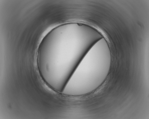 X0000114581102200910191049