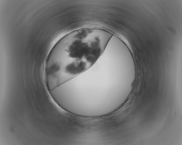 X0000114581103200910191049