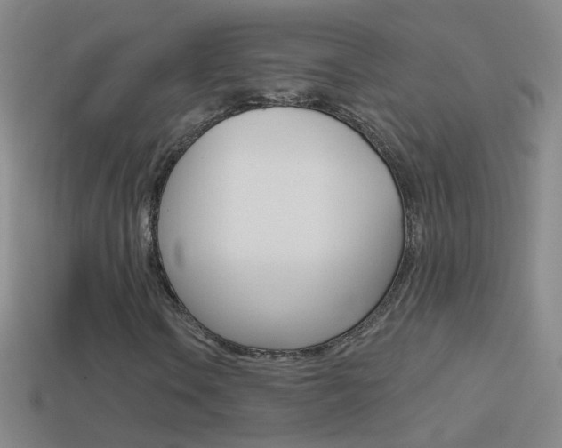 X0000114581106200910191048