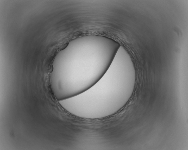 X0000114581109200910191048