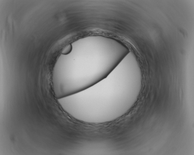 X0000114581111200910191048
