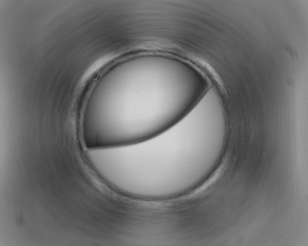 X0000114581114200910191048