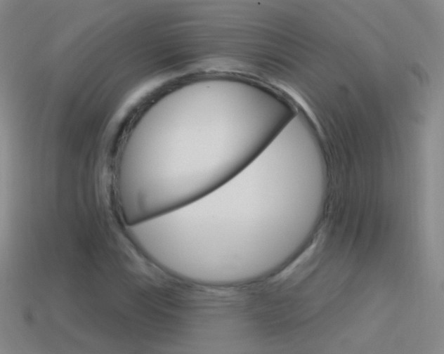 X0000114581115200910191048